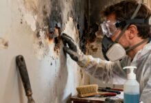 DIY Home Repairs After Smoke and Fire Damage: What Homeowners Can Tackle Themselves